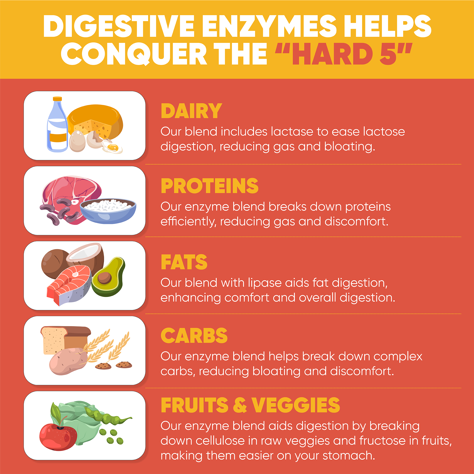 LUTI Digestive Enzymes + Pre-/Pro-/Postbiotics.